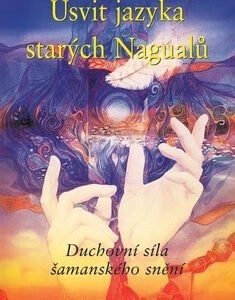 Úsvit jazyka starých Nagualů - Tunneshendeová Meryl